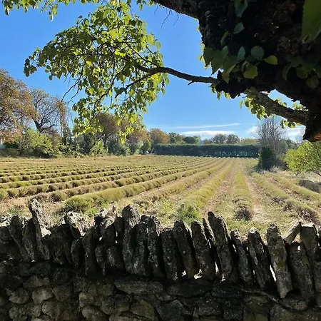 Bed & Breakfast Lou Paradou Luberon Reillanne